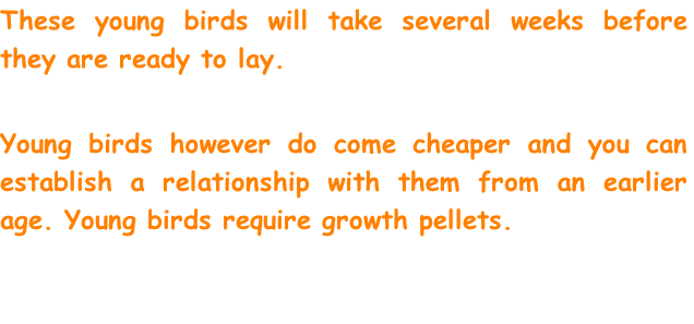 These young birds will take several weeks before they are ready to lay.  

Young birds however do come cheaper and you can establish a relationship with them from an earlier age. Young birds require growth pellets.
